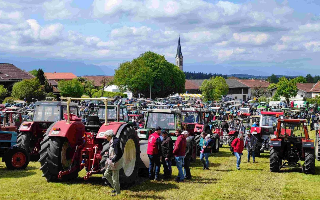 Fast 300 Traktoren-Oldies in Kammer