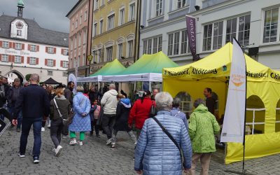 Umwelttag in der Rosenheimer Innenstadt zeigt breite Vielfalt an Klima- und Naturschutzthemen