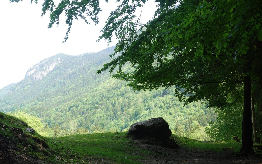 Landkreis Rosenheim: Teils sehr hohe Waldbrandgefahr