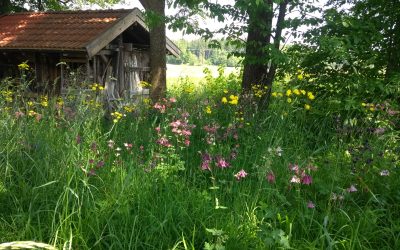 Landschaftspflege im Landkreis Rosenheim gesichert: LPV zieht trotz Förderkürzungen positive Bilanz