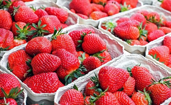 Heimvorteil für bayerische Erdbeeren