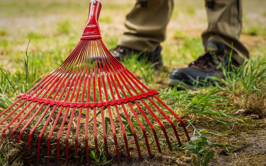 Es rumort bei der „grünen Branche“