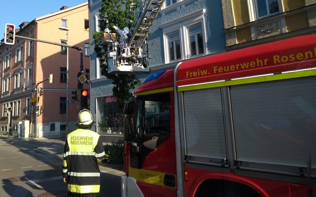 Bienenschwarm legt bei Ampel Halt ein