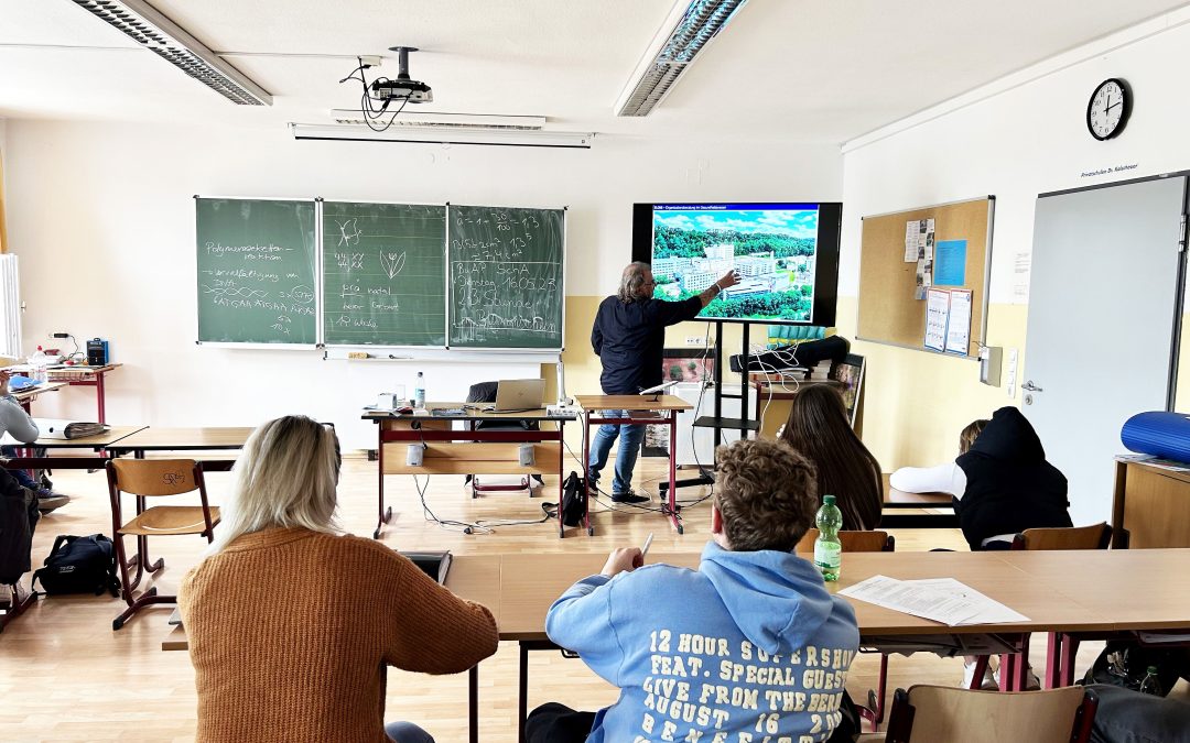 Was Hummeln mit Prozessmanagement zu tun haben