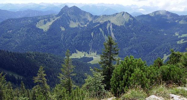 Glückliches Ende bei Vermisstensuche