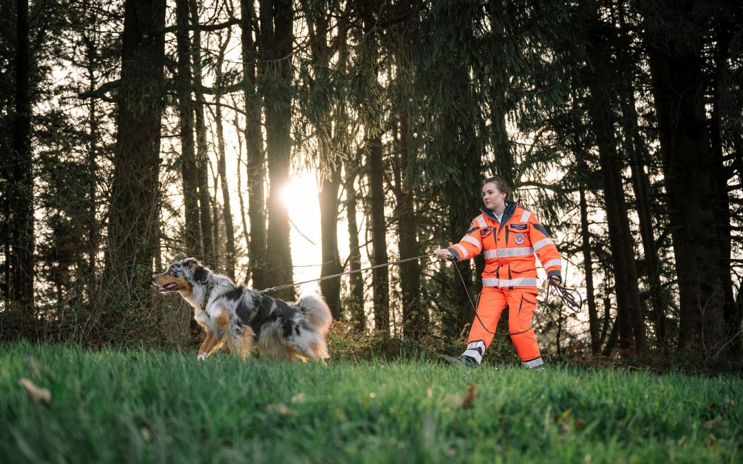 Rettungshunde finden gestürzten Senioren