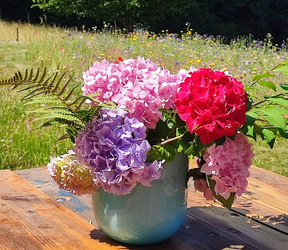 Blumenvase auf Holztisch vor Blumenwiese. Foto. Gisela Schreiner