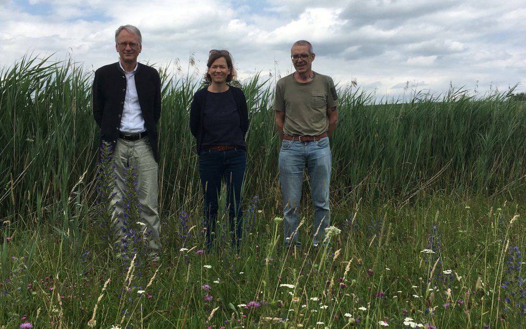 Blühstreifen für Artenvielfalt