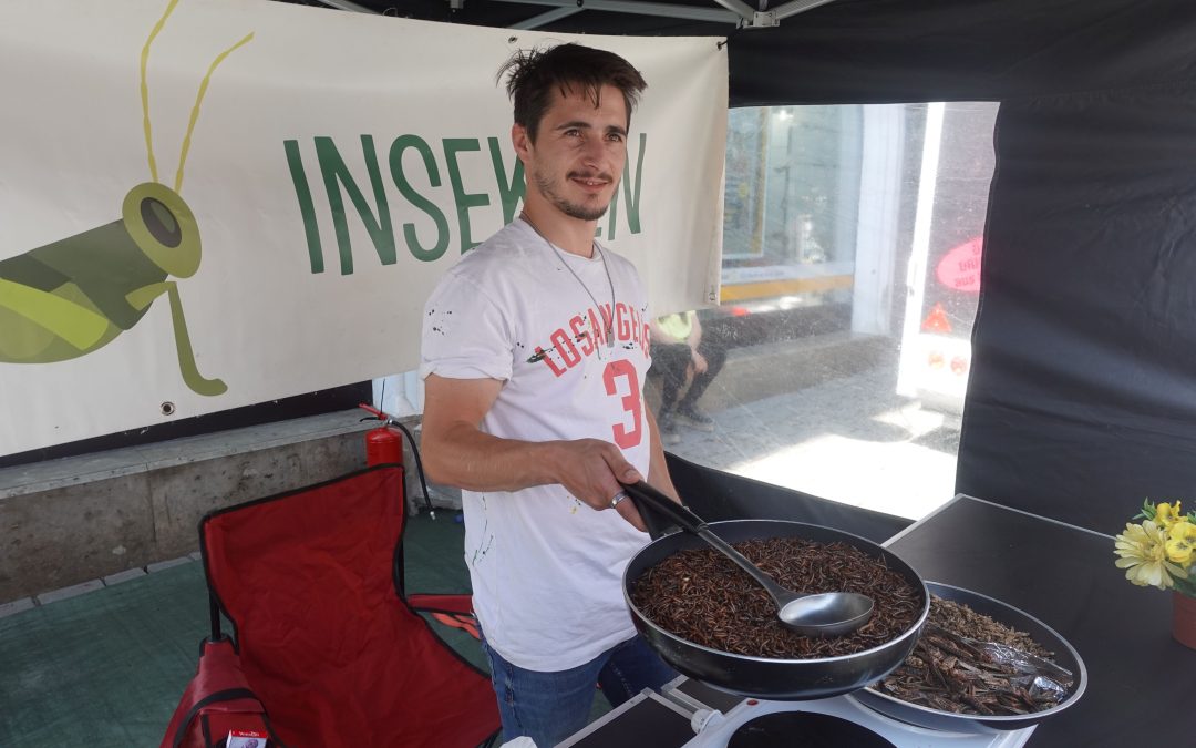 Street-Food-Market in Rosenheim ist eröffnet