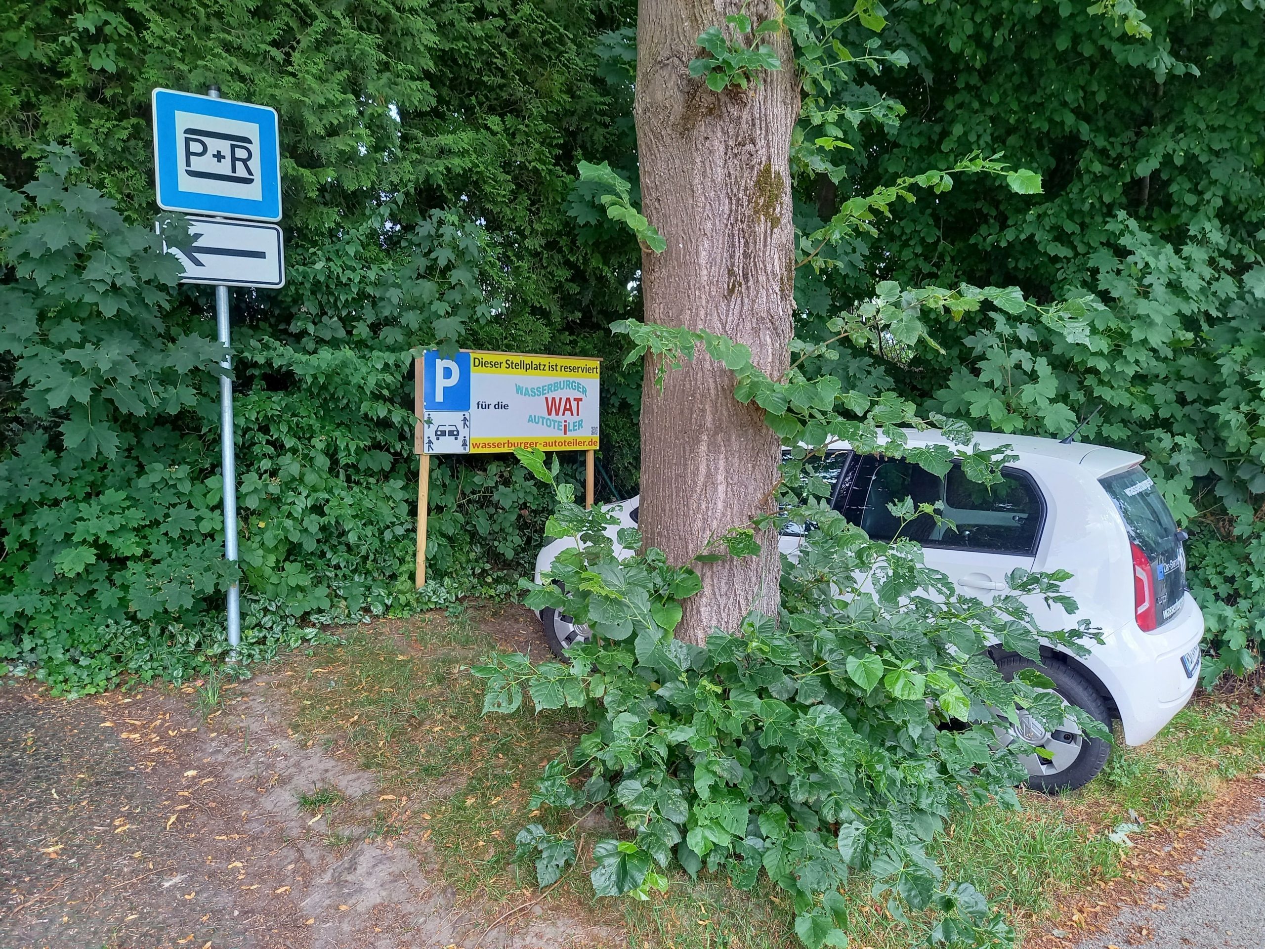 Am Bahnhof in Wasserburg-Reitmehring gibt es ein Carsharing-Fahrzeug - etwas stiefmütterlich wurde es zwischen Bäume und Büsche geparkt. Foto: Hildebrand/ACE