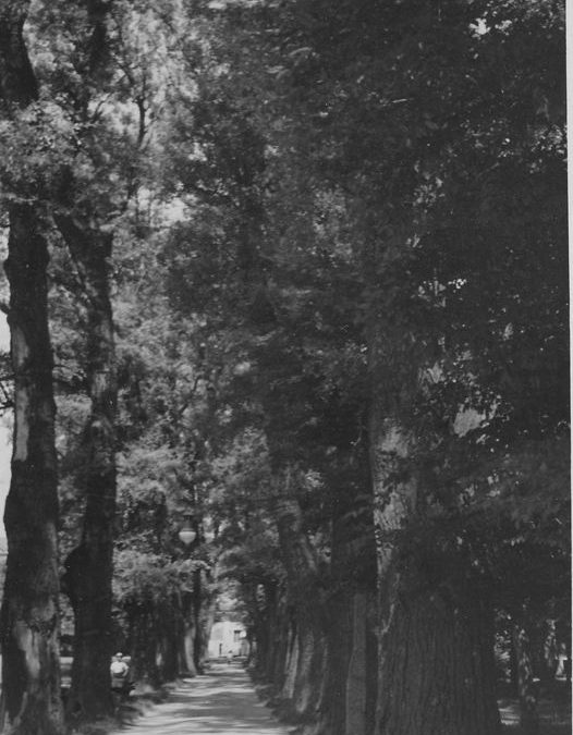 Loreto-Allee, Rosenheim, 1906