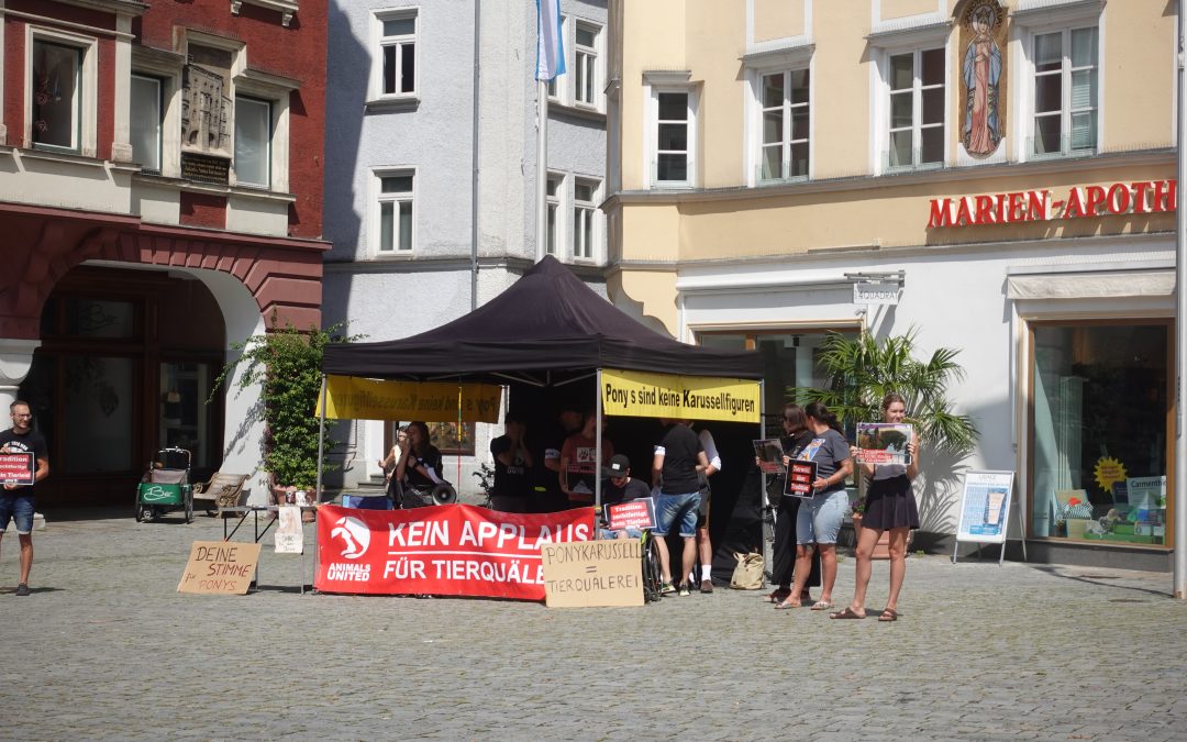 Protest gegen das Pony-Karussell