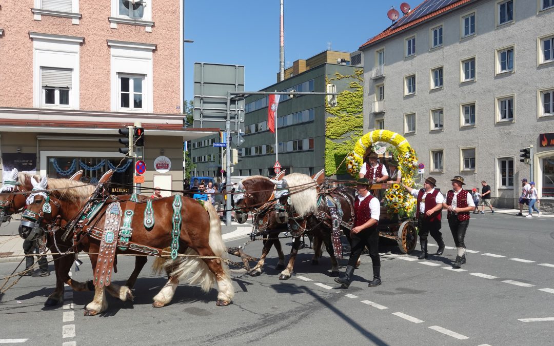 Rosenheimer Herbstfest startet am Samstag mit Wiesneinzug