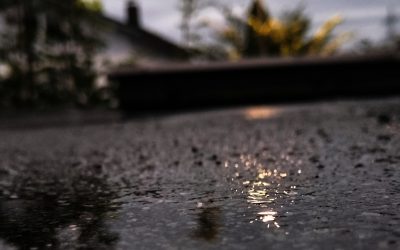 MorgenINNPULS – Schon gewusst?