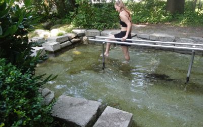 Kneipp-Familientag im Rosenheimer Riedergarten
