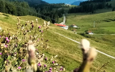 Kontrollen am Sudelfeld: Deutlich zu schnell unterwegs