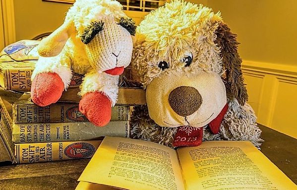 Stoffhund und Stoffschaf "lesen" Buch.