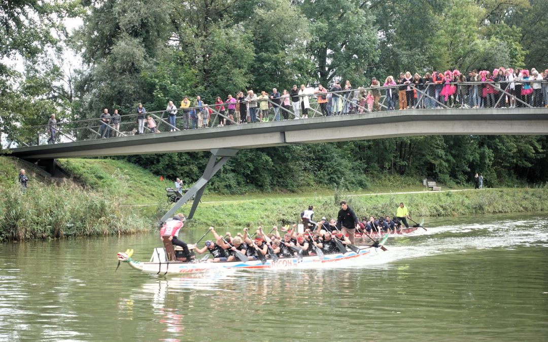 Termine für Drachenbootrennen in der Region stehen fest