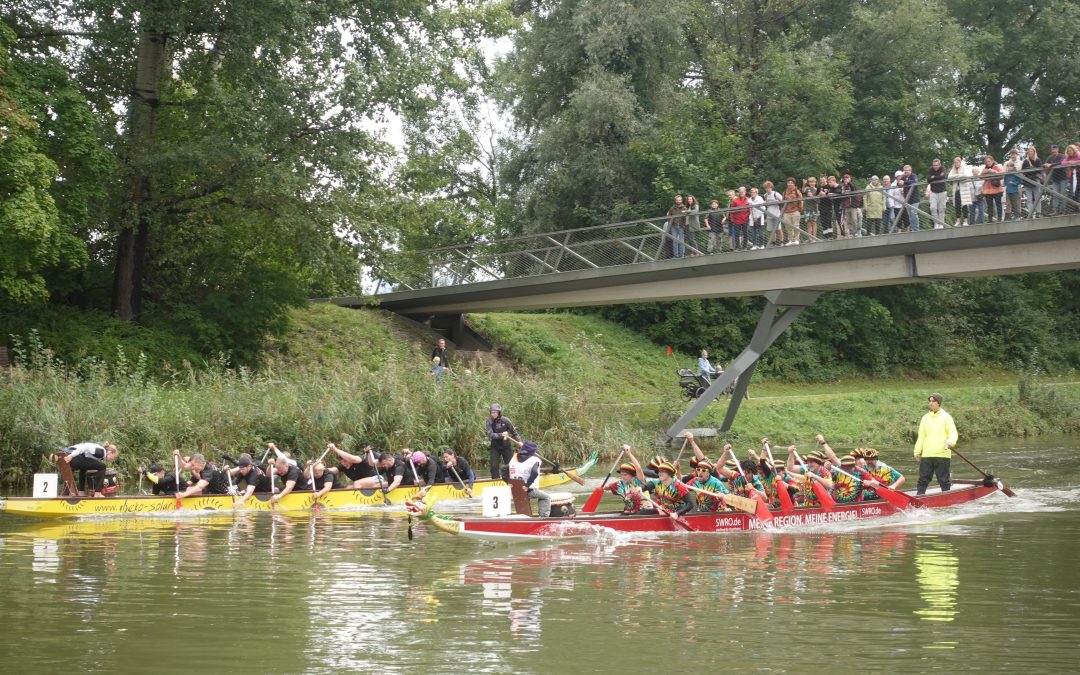 Drachenboot-Saison 2026 startet – Trainings ab März buchbar, Steuerleute gesucht