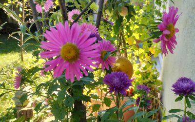 MorgenINNPULS – Schon gewusst?