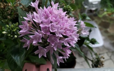 MorgenINNPULS – Schon gewusst?