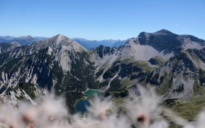 MorgenINNPULS – Schon gewusst?