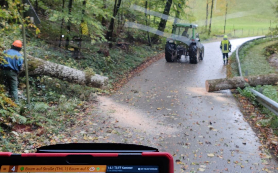 Baum blockiert Fahrbahn bei Kaltenbach