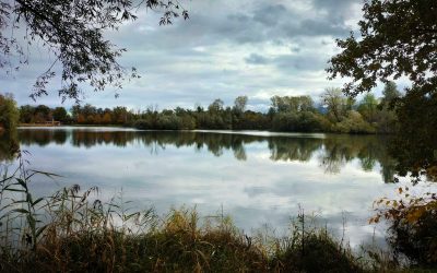 MorgenINNPULS – Schon gewusst?