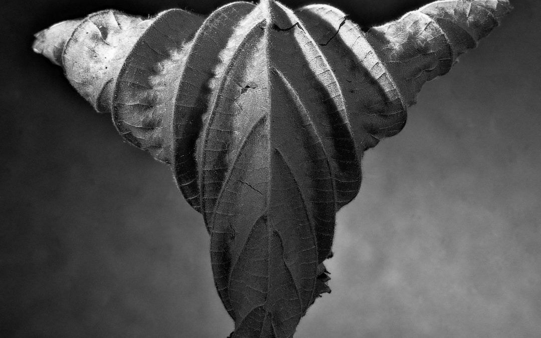 Fotoausstellung „Verfallsdatum erreicht“