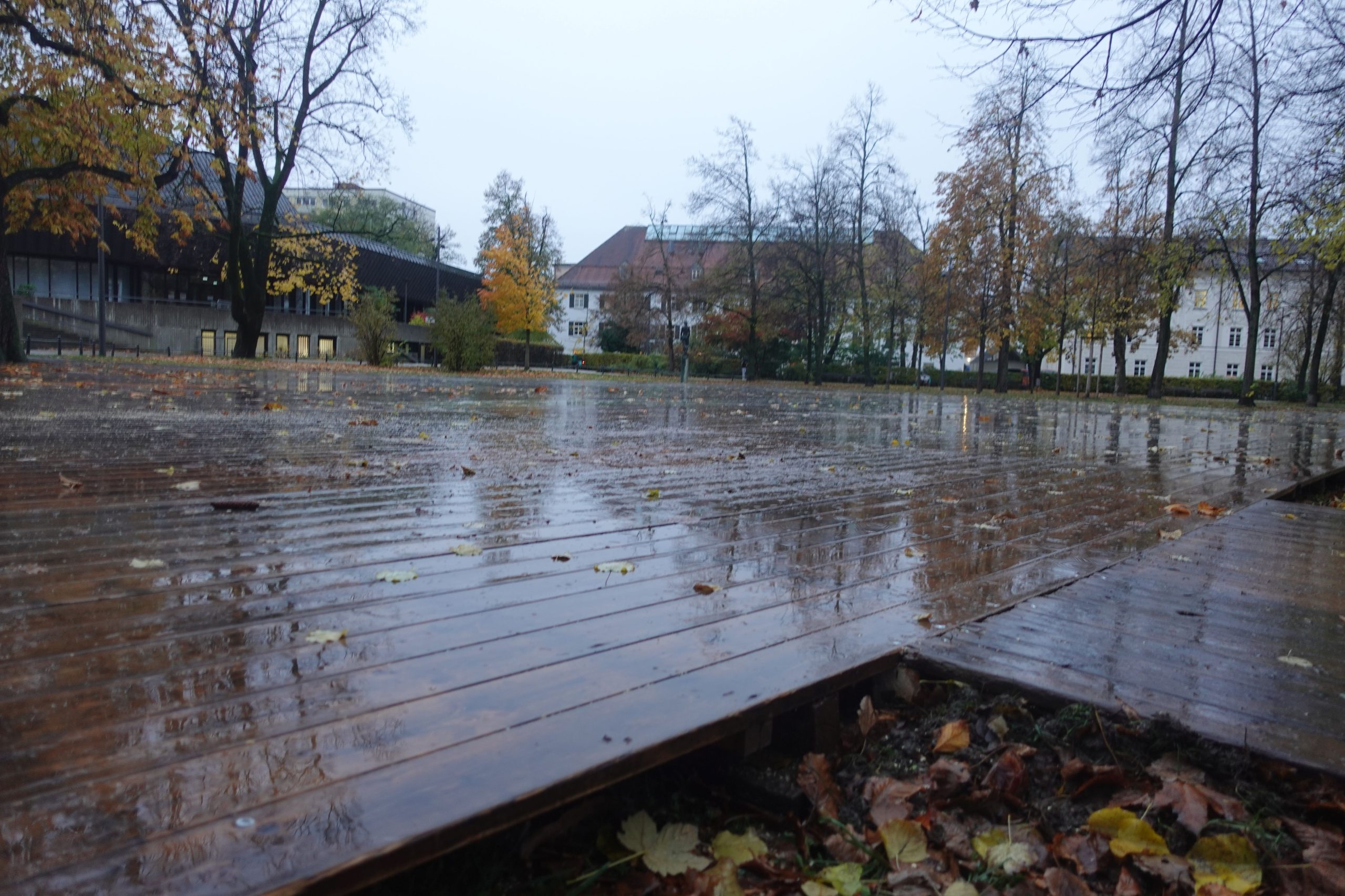 Holzbodenuntergrund für Eislauf im Salingarten Rosenheim. Foto: Innpuls.me