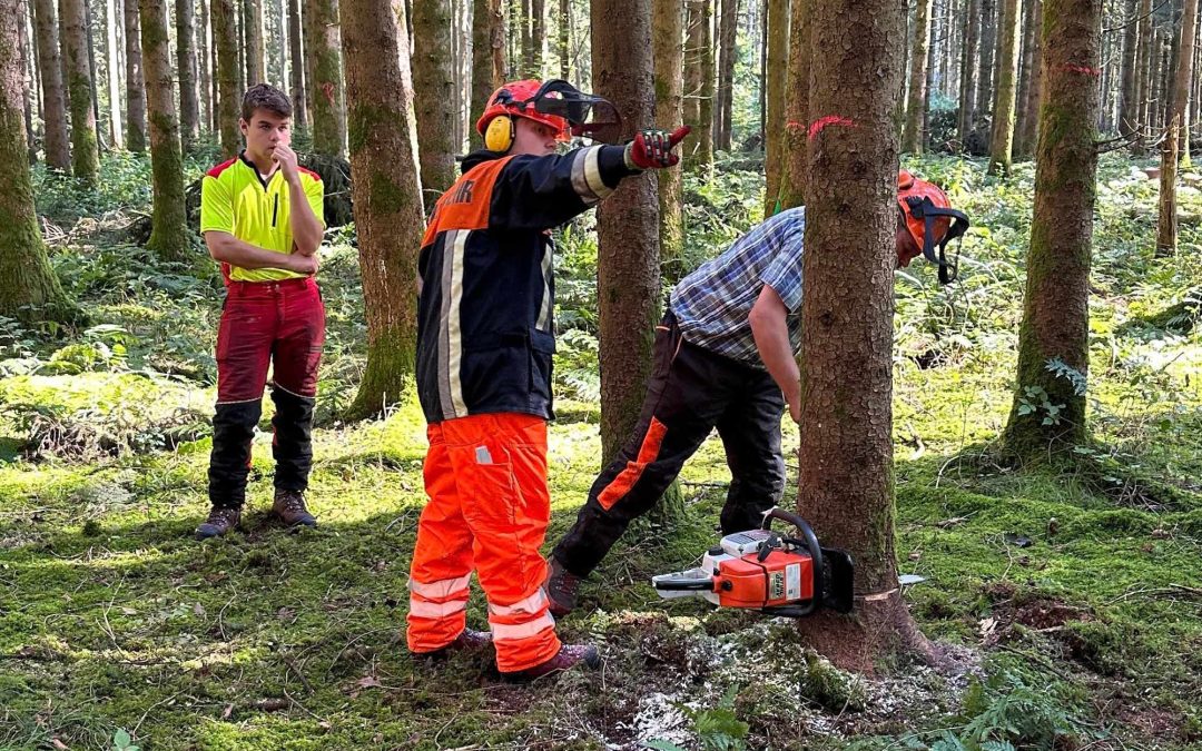 Lehrgangsbedarf für Motorsägen Ausbildung