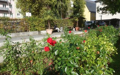 Graffiti im Riedergarten – Sicherheitswacht greift ein