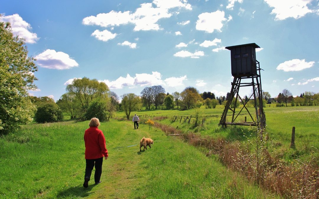 Hauptjagdsaison: PETA rät Spaziergängern zur Vorsicht