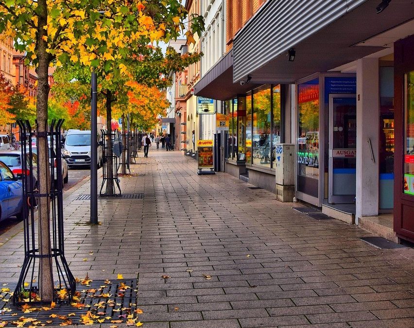 Ausstellung „Wir Bäume sind eure besten Freunde“
