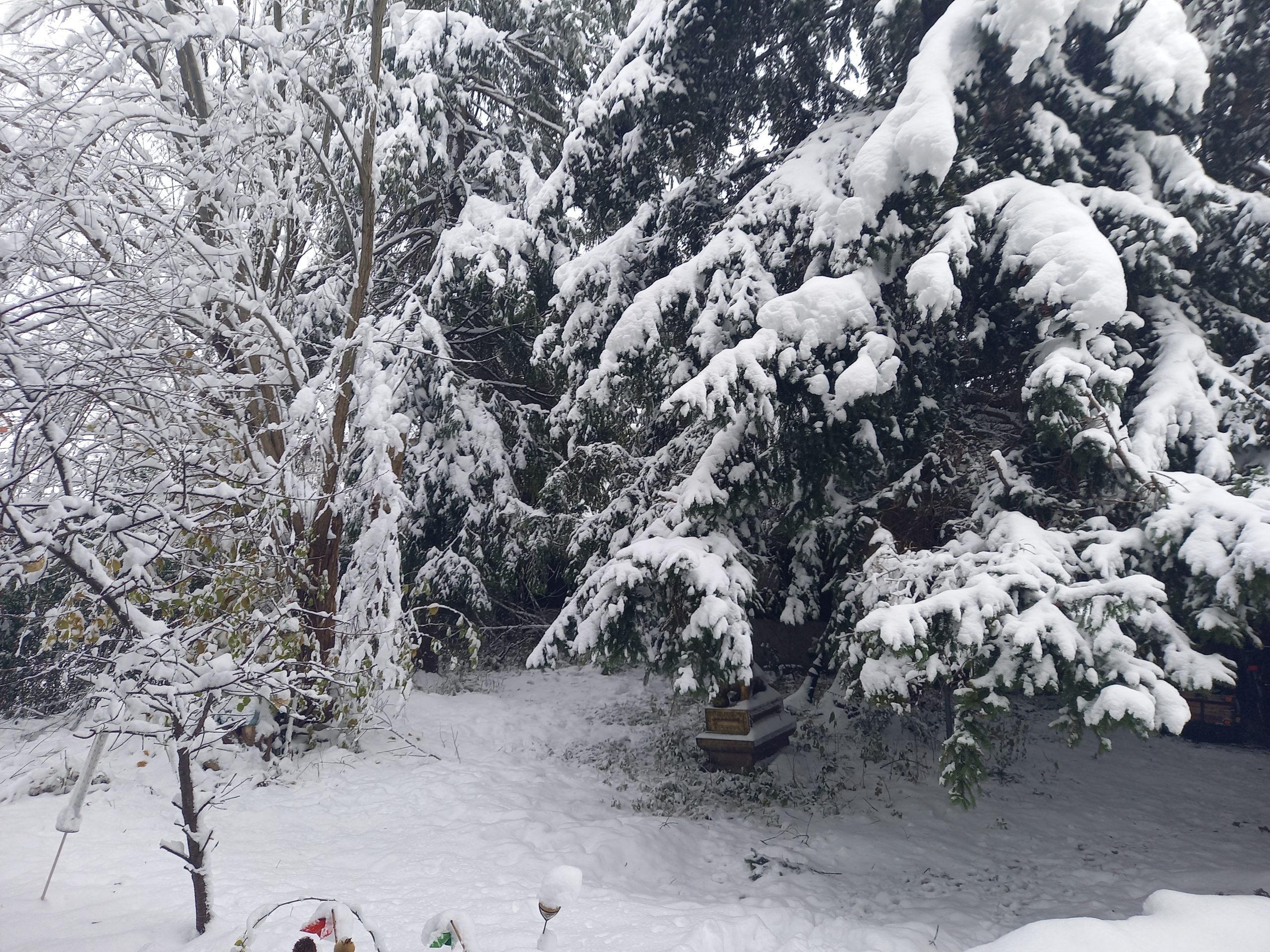 Bäume mit großer Schneelast