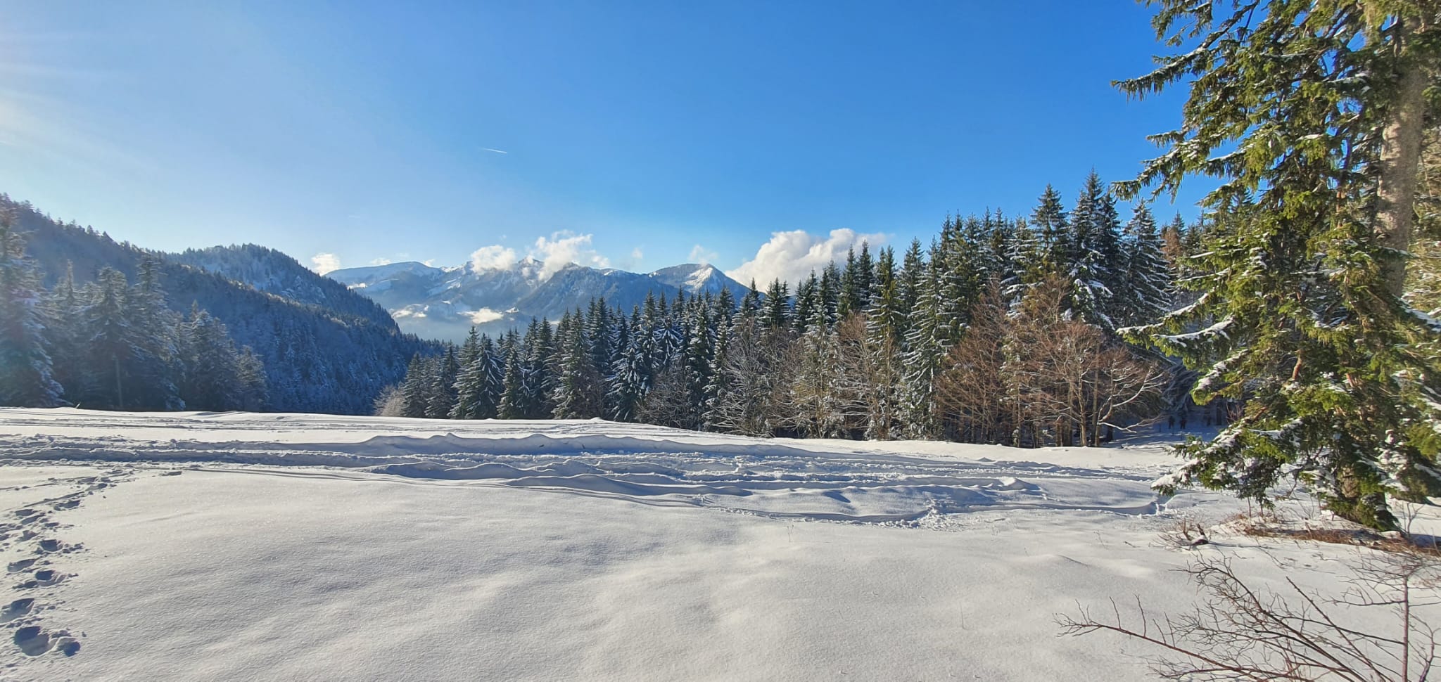 Winterlandschaft. Foto: Ferdinand Staudhammer