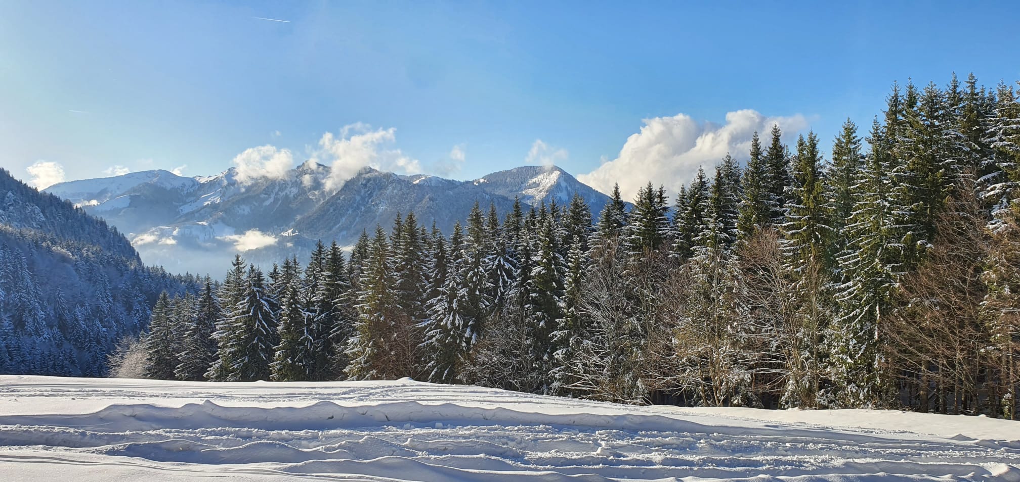 Winterlandschaft in den bayerischen Bergen. Foto: Ferdinand Staudhammer