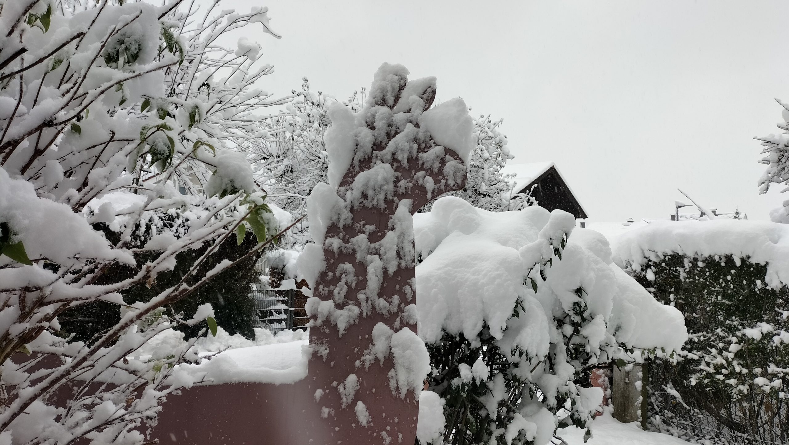 Schnee auf einer Lamafigur. Copyright Josefa Staudhammer Innpuls.me