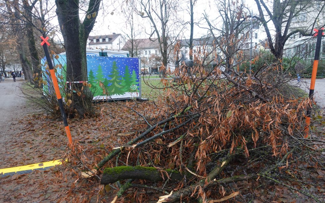 Aufräumarbeiten nach Schneechaos