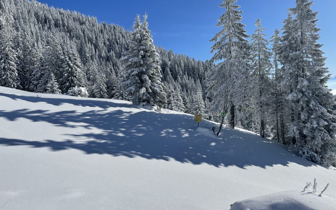 Den Winter in vollen Zügen genießen, aber die Natur schonen