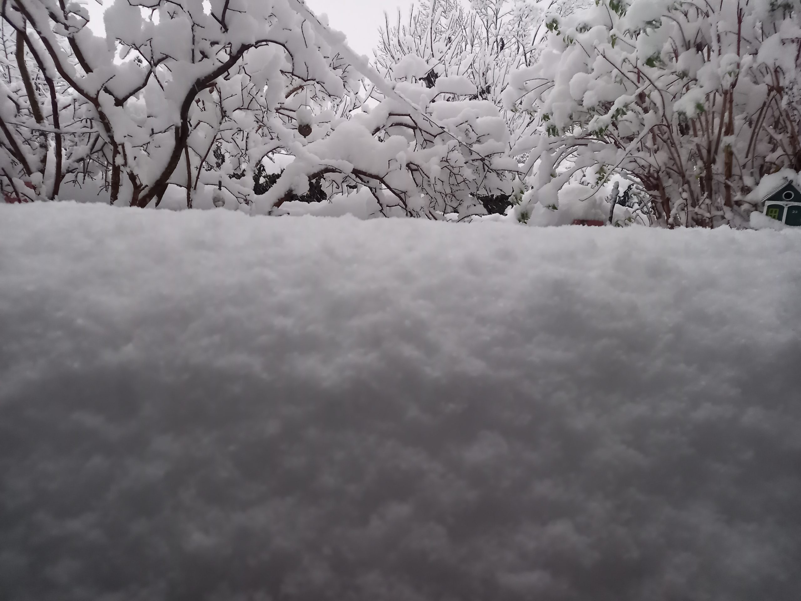 Viel Schnee vor einer Haustüre. Foto: Innpuls.me