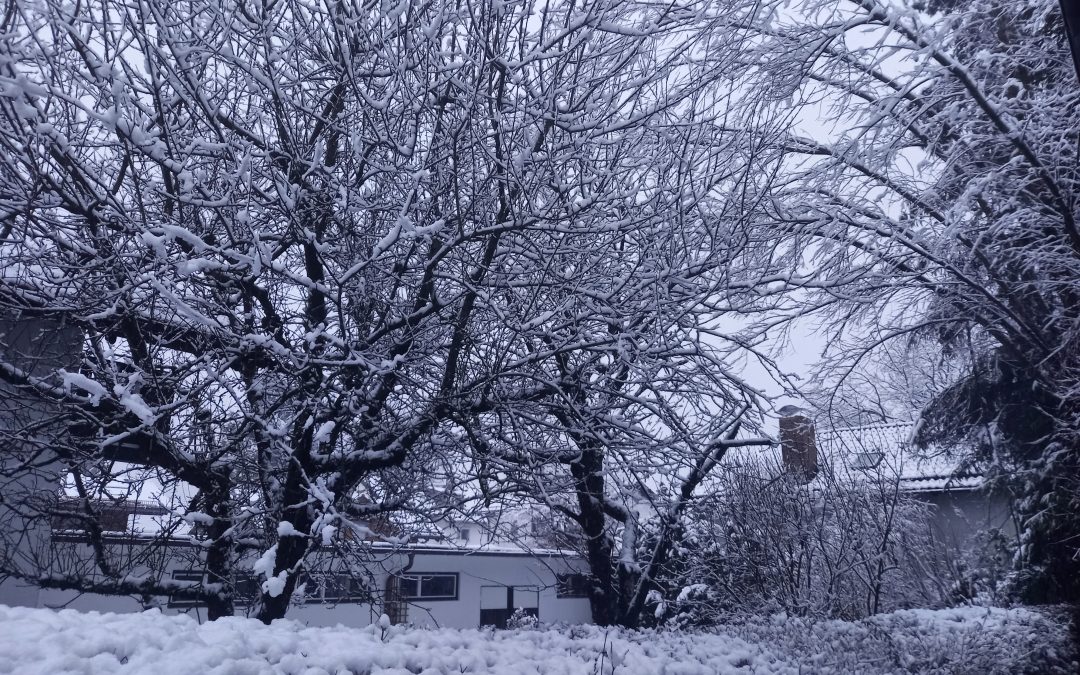 Der Winter ist zurück in Rosenheim