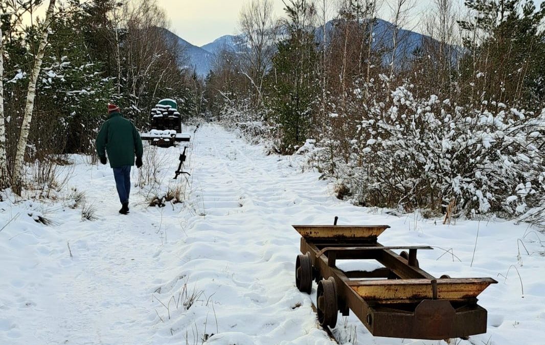 Winterspaziergang in der Nicklheimer Filze