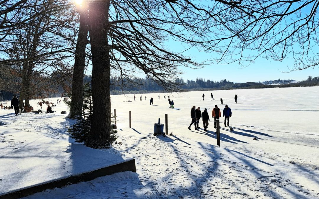Winterfreuden am Hofstätter See