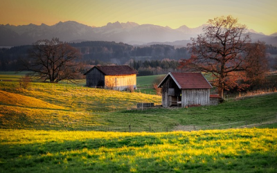 Landwirtschaftliche Flächen: Ein Hektar kostet in Oberbayern mehr als viermal so viel wie in Oberfranken
