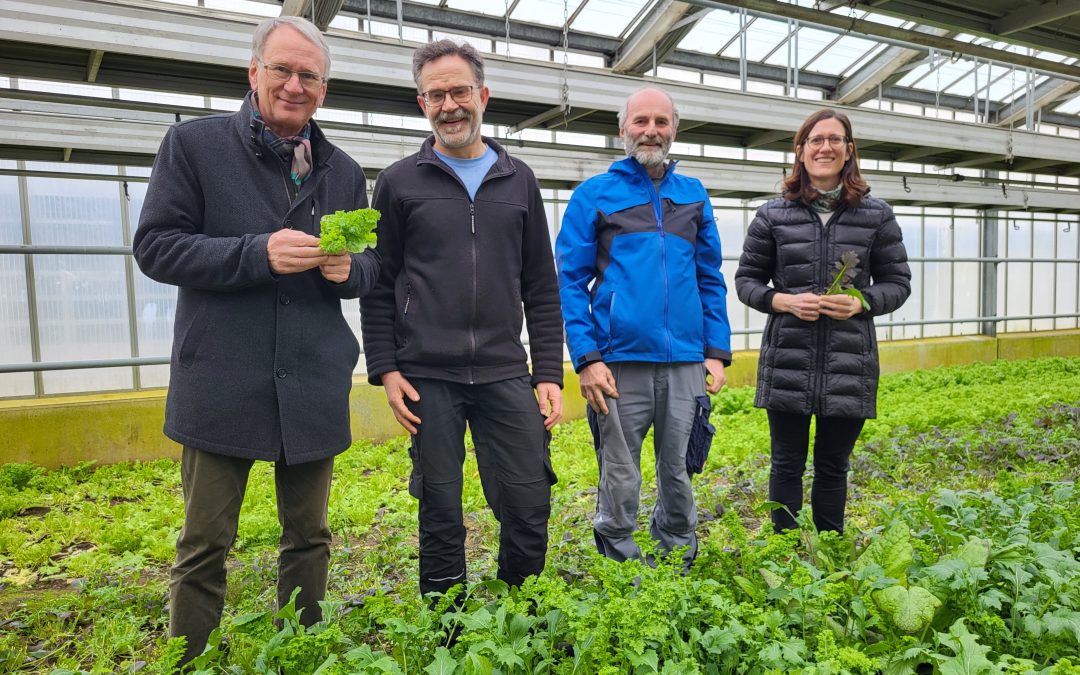 Besuch in der Gärtnerei der Stiftung Attl: Leben zum Blühen bringen