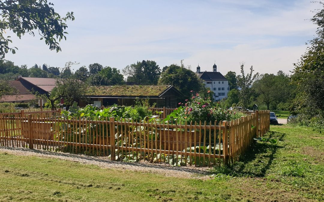 Gartenkultur: Der richtige Schnitt zur richtigen Zeit