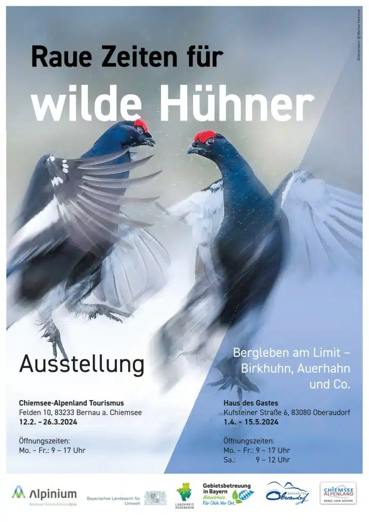 Plakat Ausstellung "Raue Zeiten für Wilde Hühner". Foto: Landratsamt Rosenheim