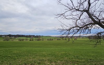 MorgenINNPULS – Schon gewusst?
