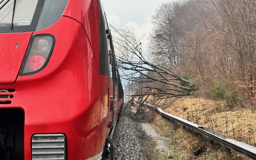Zug kollidiert mit Baum – Oberleitung setzt Zug unter Strom